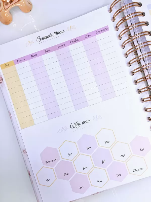 Planner Controle Fitness
