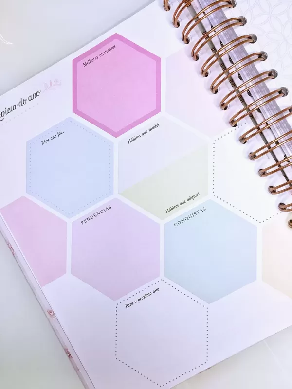 Planner review do ano
